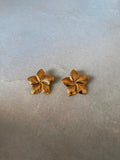 star earrings