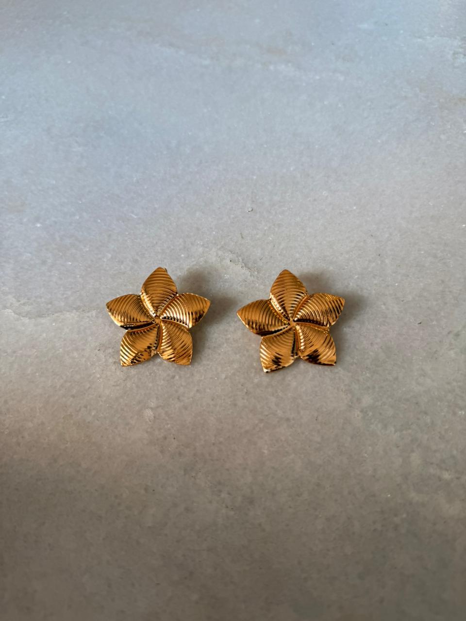 star earrings